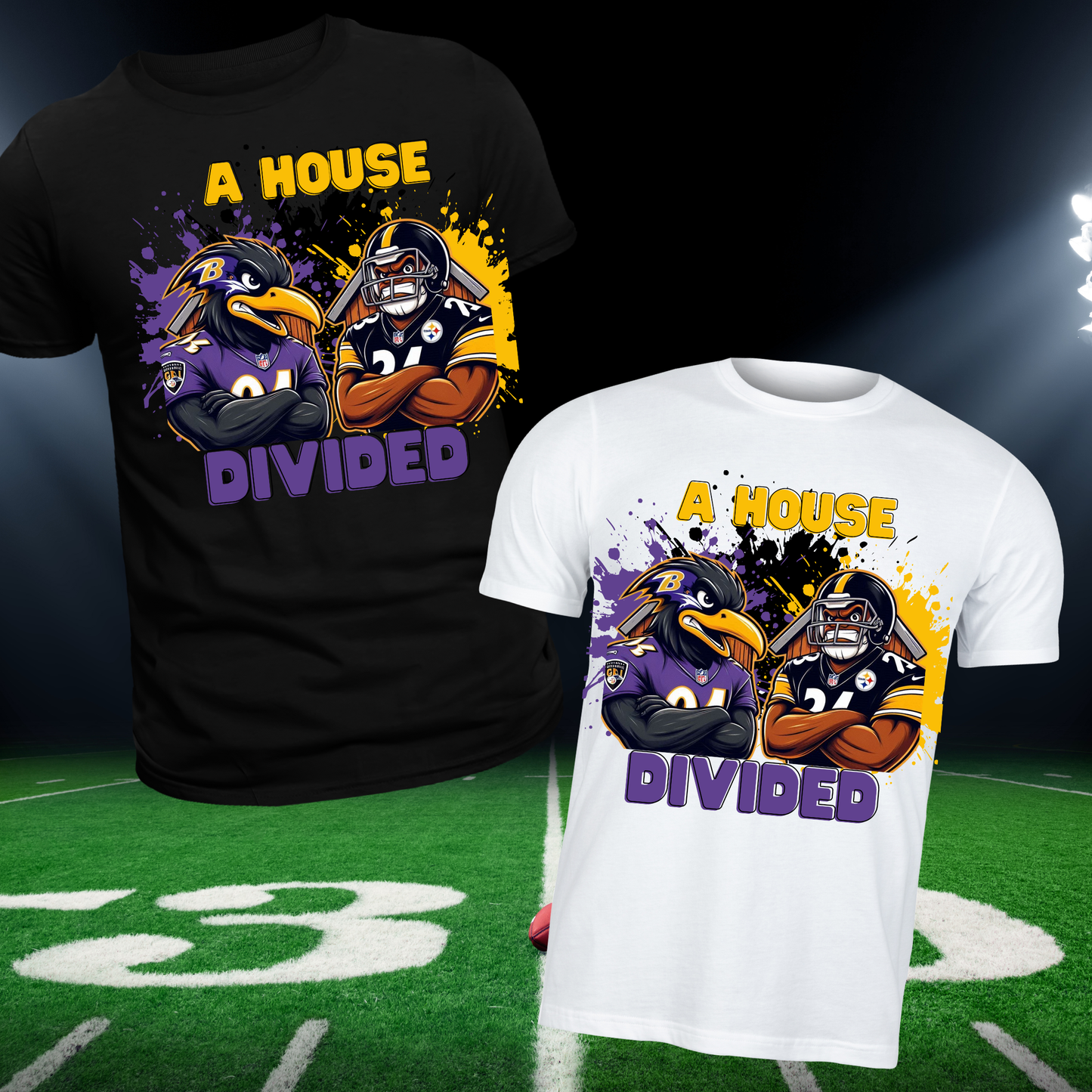 House Divided Sports Digital Images