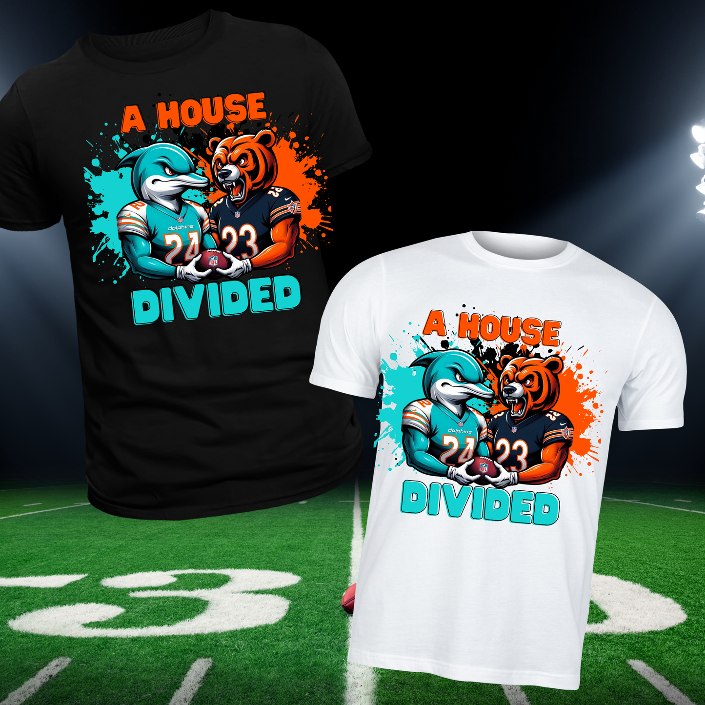 House Divided Sports Digital Images