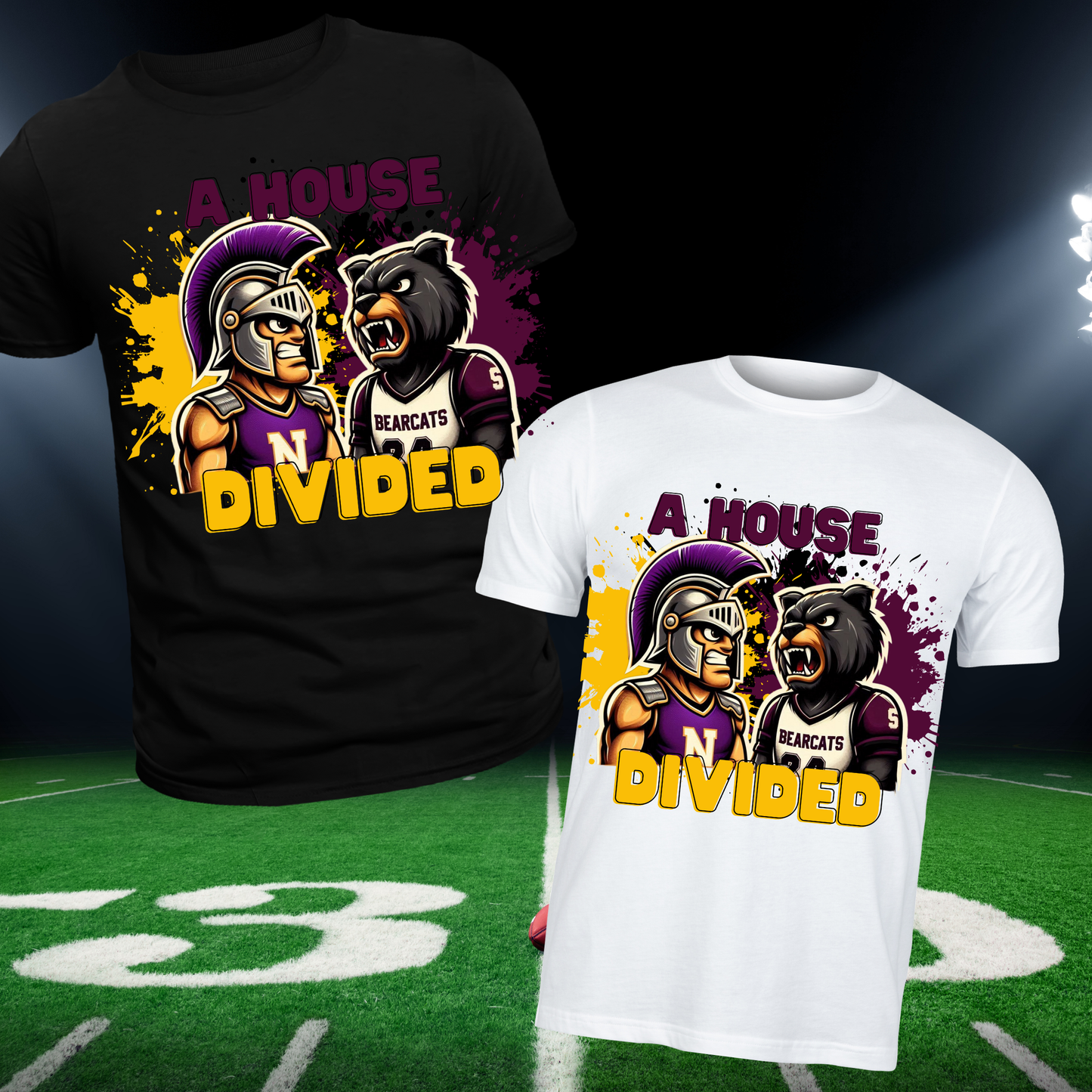 House Divided Sports Digital Images