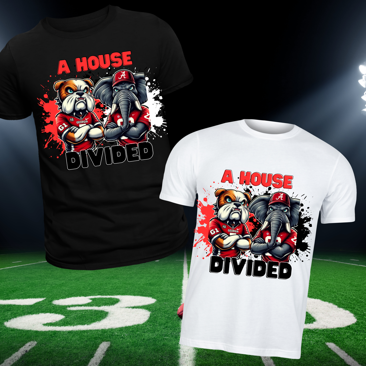 House Divided Sports Digital Images