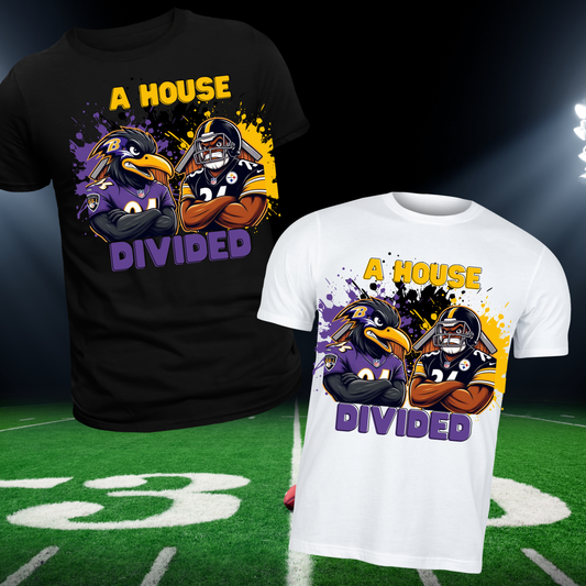 House Divided Sports Digital Images